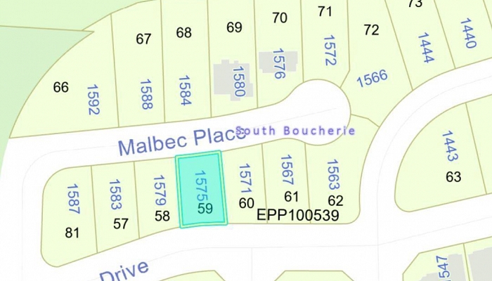 Lot 59 Malbec Place - Photo 1